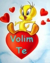 slika photo nedjo