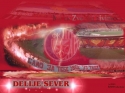 Zvezda Zvezda Zvezda !!!!!!!!