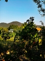Vrsac