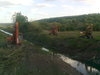 slika photo nedjo