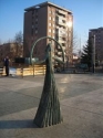 photo nedjo bor