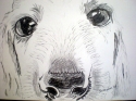 ~IRIS-ART~