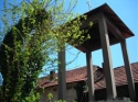 slika photo nedjo negotin