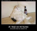 slika photo nedjo