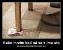slika photo nedjo