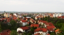 Loznica