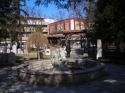 slika photo nedjo