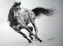 ~IRIS-ART~