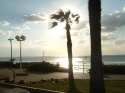 Plaza-Tel Aviv
