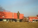 photo nedjo bor
