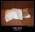 slika photo nedjo