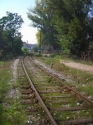 slika  photo nedjo