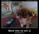 slika photo nedjo