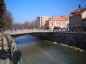 slika photo nedjo