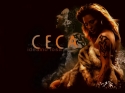 Ceca 2006 idealno losa