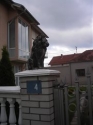 slika photo nedjo