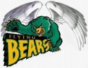 Flying Bears