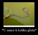 slika photo nedjo