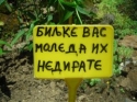 vrnjacka banja  foto nedjo