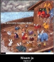 slika photo nedjo