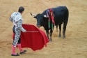Matador - Korida - Španija
