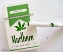 nove cigarete