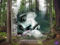 slika photo nedjo