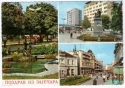 slika nedjo zajechar