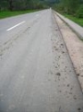 slika photo nedjo