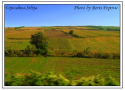 Vojvodina