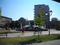 slika nedjo negotin