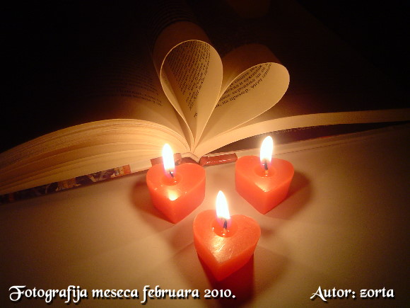 Fotografija meseca februara 2010. godine