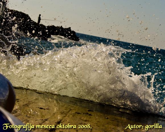 Fotografija meseca oktobra 2008. godine