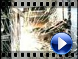 Billy Idol - Speed