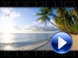 Ian Carey feat. Steve Adwards - S.O.S. (Radio Edit)