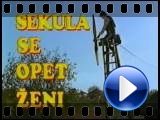 Sekula 2 - Sekula se opet zeni